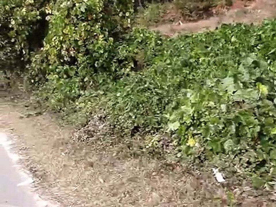 Biking in South Korea Part 1