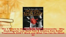 PDF  The 3 Pillars to Healing Back Pain Permanently  Why Most Popular Low Back Pain  Sciatica Download Online