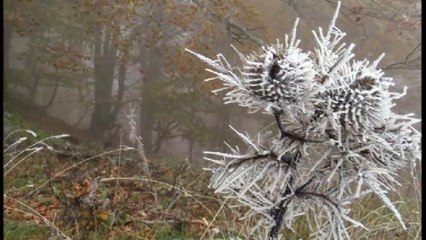 Καλημερα ζωη & Γιαννης Πετροπουλος