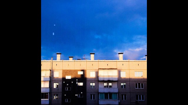 Смысловая фотография-Голубь Александра-Присмотрись.