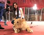 Capital Tv Host Rabi Pirzada Doing With Lion