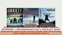 Download  Depression And Anxiety Self Help Bundle Anxiety Workbook  The Depression Cure  Ebook