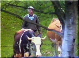 emMOJKRAJ - Saispase 1997