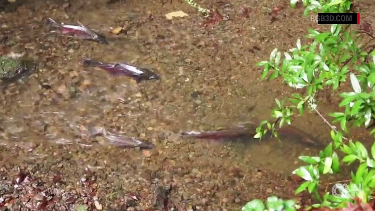 El Nino rains won't cure California's drought