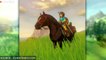 Extraits de Zelda Wii U/NX