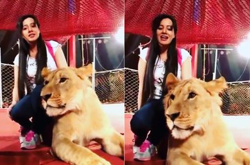 Can you dare to sit on a LION like Rabi Pirzada