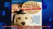READ FREE Ebooks  A Kids Guide to Protecting  Caring for Animals How to Take Action How to Take Action Full Free