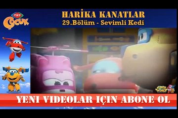 HARİKA KANATLAR 29 BÖLÜM SEVİMLİ KEDİ