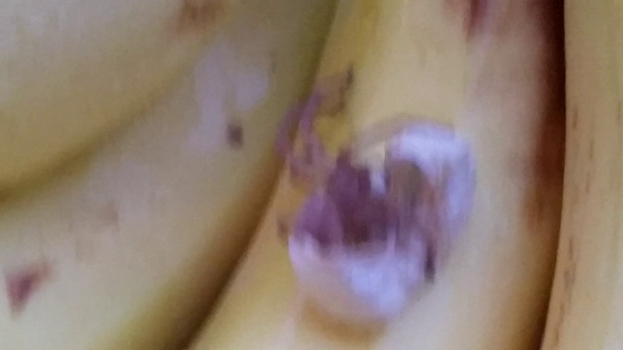 Better check your bananas: from Dole (Costa ric...