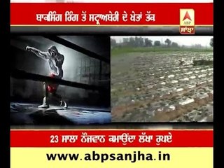 INSPIRING: A journey from boxing ring to strawberry fields