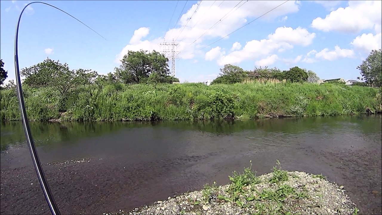 80cmの鯉が釣れるまで頑張るシリーズ　第二弾　　　Keep Challenging To Catch 80cm (31in) Carp, Episode 2