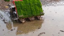 Rice Planting Machine