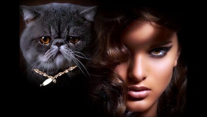 New Persian Azeri Music Mix 2016 DJ SAEED JAN