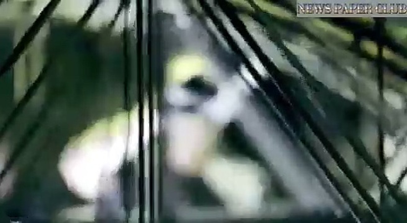 Innovation in aviation Solar power planes and tinted windows