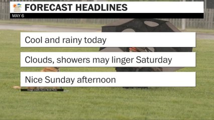 Cool and rainy today