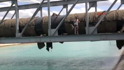 Şanlıurfa?da İntihara Kalkışan Oğlunu, 'Ben de Atlarım' Diyerek İkna Etti