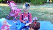 ✔ Baby Born, Nenuco and Alive Doll. Yaroslava with Dolls went for a picnic / Video for children ✔