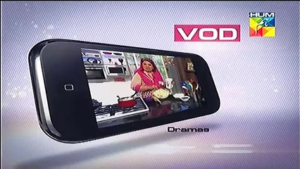 Humnetwork Promo Dailymotion official channels