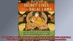Free book  Secret Lives of the Dalai Lama The Untold Story of the Holy Men Who Shaped Tibet from