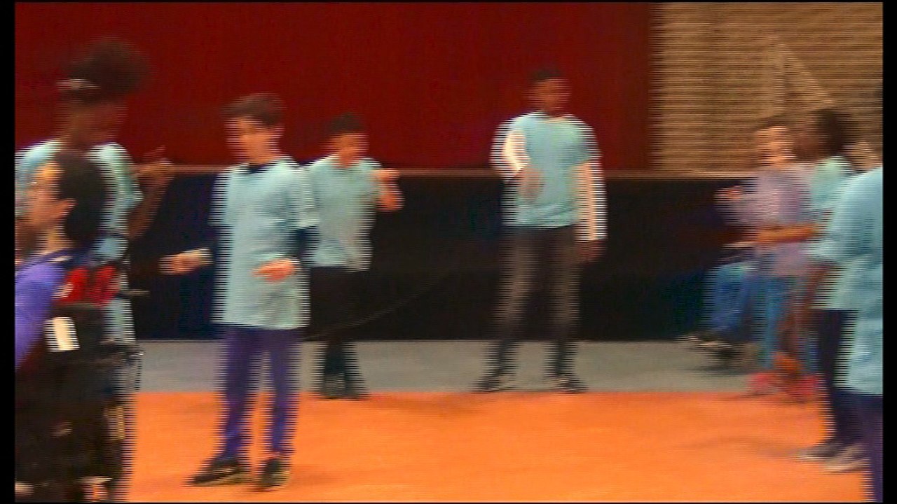 Représentation de danse inclusive - Danse Langue des Signes 1