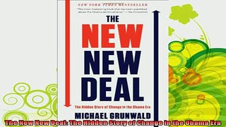 new book  The New New Deal The Hidden Story of Change in the Obama Era