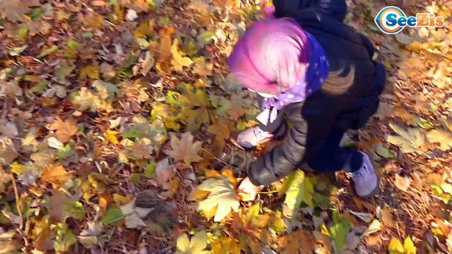 ✔ ДигиБердс и девочка Маша прогулка в лесу /Видео для детей/ DigiBirds with Masha / Toys for kids ✔