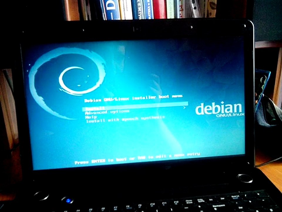 Menu blinking in Debian Netinstall