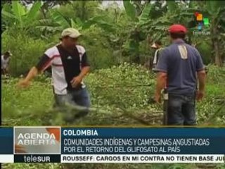 Colombia: zonas rurales viven angustia por uso de glifosato