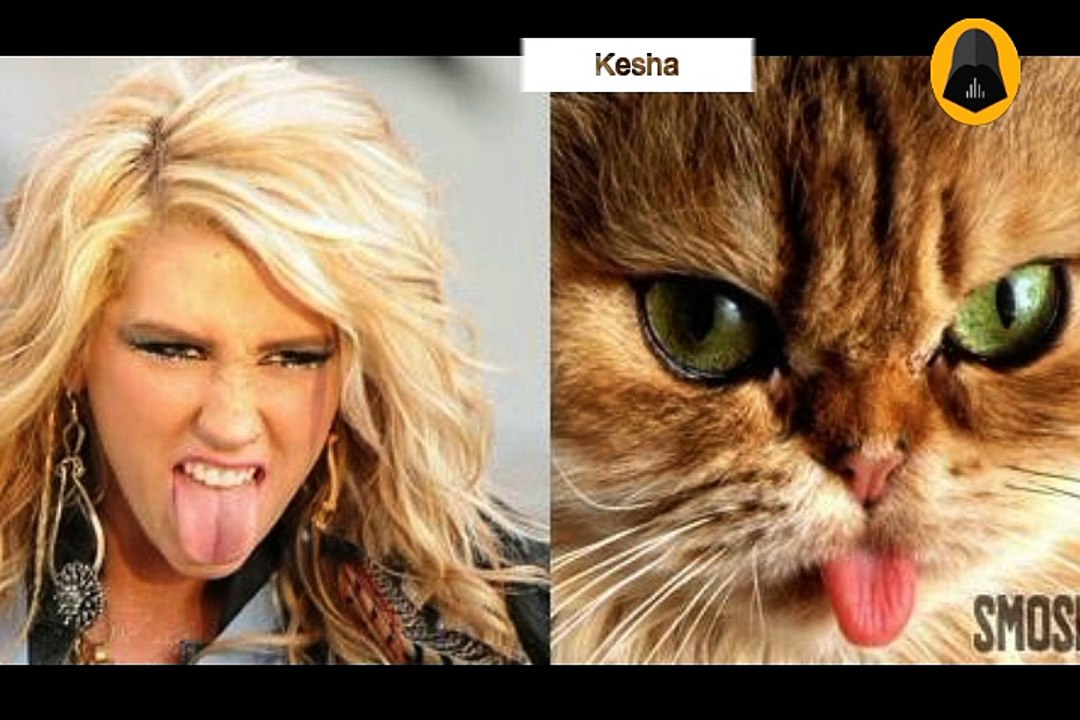 20 chats qui ressemblent à des stars