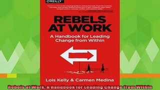 free pdf   Rebels at Work A Handbook for Leading Change from Within