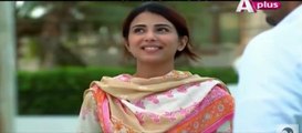 Bheegi Palkein Episode 26 Full Aplus Drama 06 May 2016