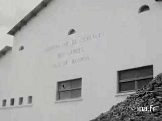Landes promenade en CHALOSSE