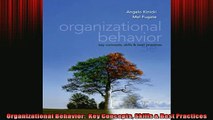 EBOOK ONLINE  Organizational Behavior  Key Concepts Skills  Best Practices  BOOK ONLINE