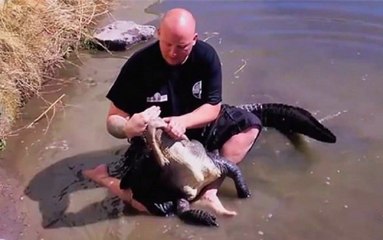 Gator Wrestler Messes Around And Gets Bitten