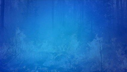 Canada : Pourquoi l'incendie est-il devenu incontrôlable ? - Le 06/05/2016 à 19h00