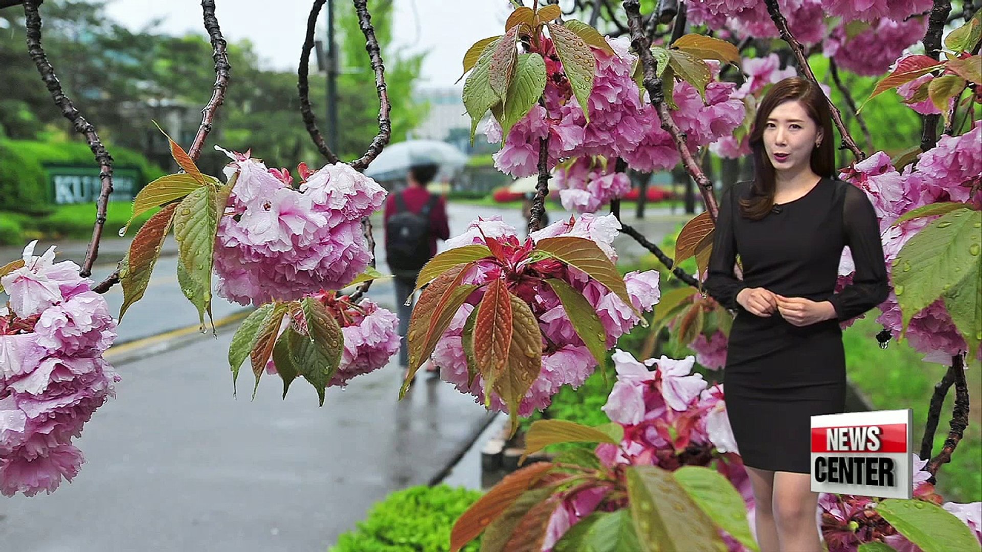 Korea's top travel destinations in May
