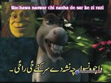 Wachawa Naswar Che Nasha Di Sar K Zee Raze Hrash Prash Garlandoo Zahirullah Pashto Funny Dubbing {P
