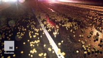 A truck spills 50,000 pounds of potatoes, shuts down highway