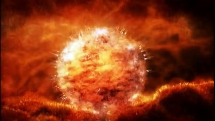 Miracolo Della Vita della vita in 4 minuti