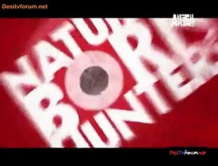 Natural Born Hunters 3rd October 2014 Video Watch Online pt1