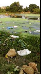 Funny Whatsapp Video | WhatsApp Video Funny | Funny Fails | Viral Video