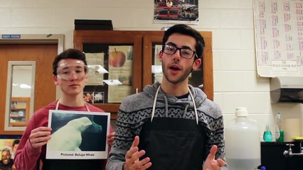 Students Win $15,000 and Their PSA Will Run on Discovery’s Networks http://bit.ly/1X6seqR