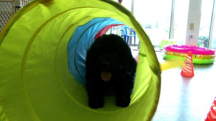 Welcome to Pleasant Valley Veterinary Clinic