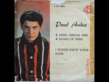 Paul Anka A steel guitar and a glass of wine/ I never knew your name