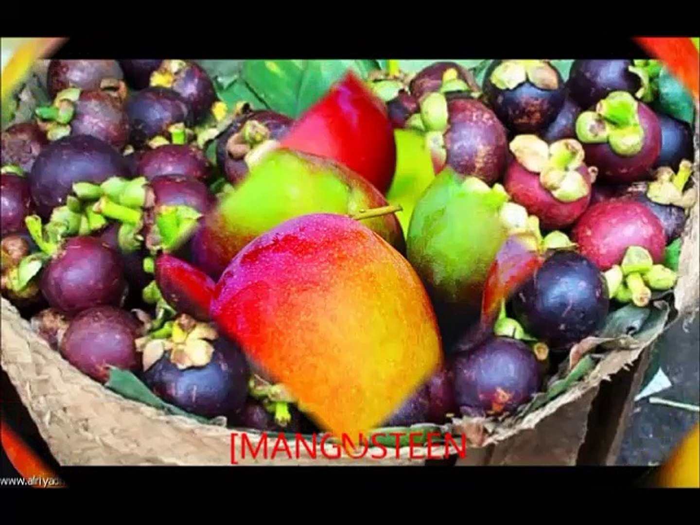 Fruits Tropicaux الفواكه الاستوائية وفوائدها Video Dailymotion