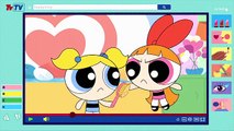Bubbles Beauty Blog - Powerpuff Girls - Original Short - Cartoon Network