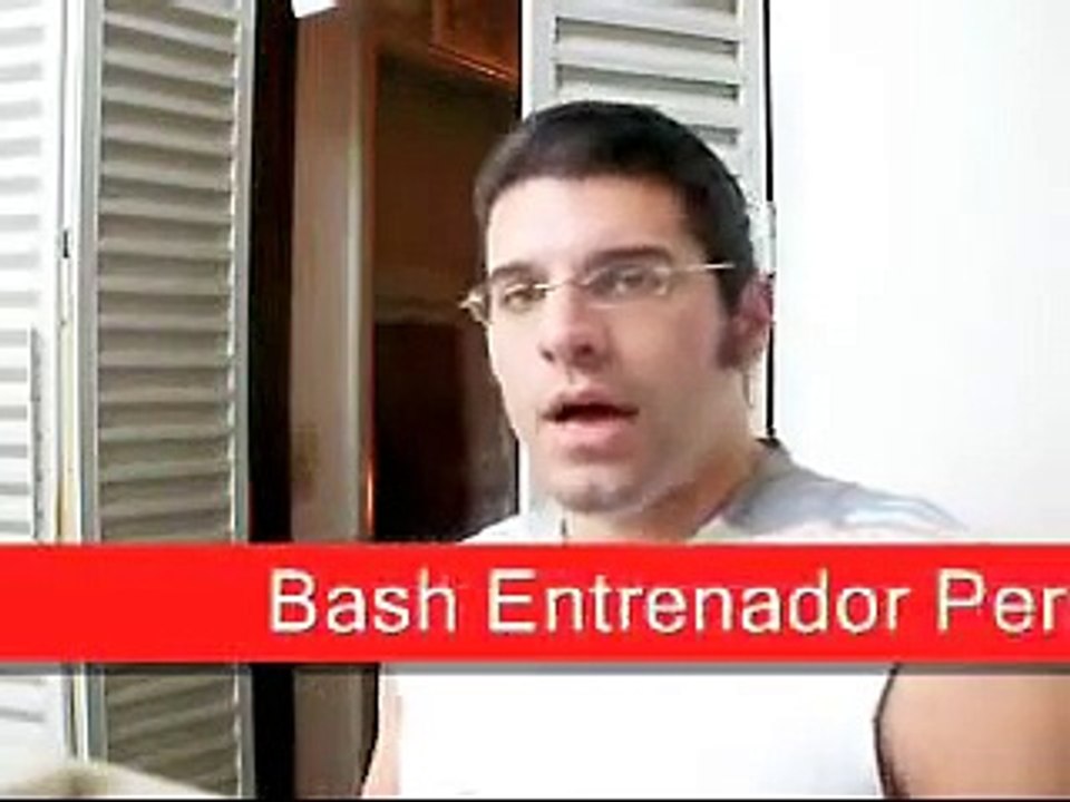 Rutinas y Dietas de Gimnasio BASH