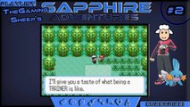 Pokémon Sapphire Adventure, Part 2: Where's Wally?