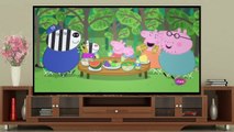 Peppa Pig en Español Latino | Peppa pig 3 capitulos completos en español Videos de peppa pig nueva