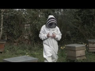 Pie Rants Environmentalism While Being Stung by Bees